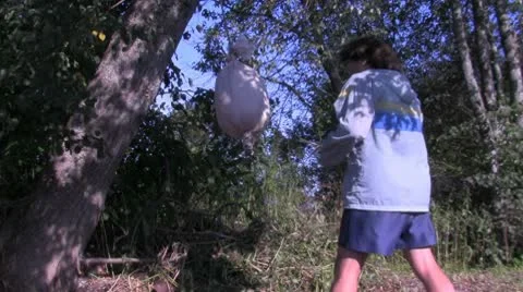 Boxer hitting Stock-Footage 10723506