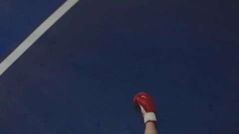 A Boxer knocked out and lying on the ground Stock Footage 283294462