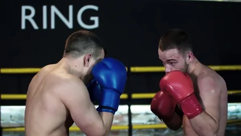 Boxer making hook punch, knockout opponent falls down HD slow motion video Stock Footage 70387453