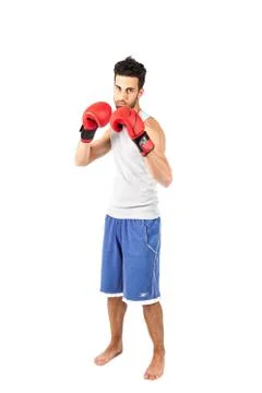 Boxer Stock Photos
