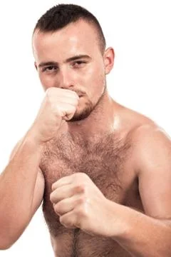 Boxer Stock Photos
