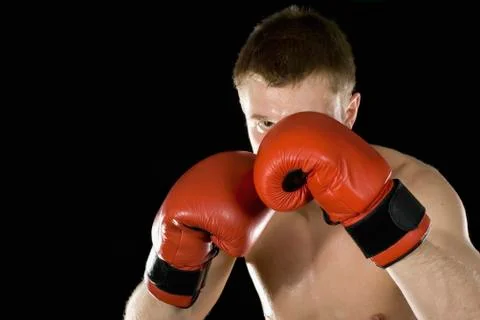 A boxer Stock Photos