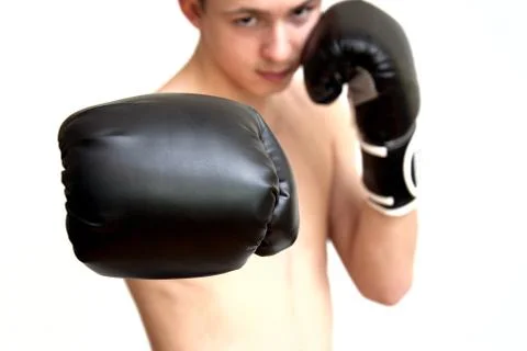Boxer Stock Photos