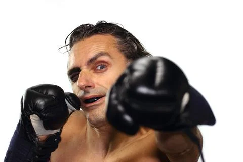 Boxer Stock Photos