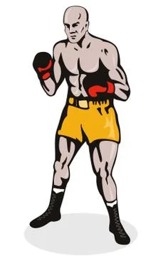 Boxer posing Stock Illustration