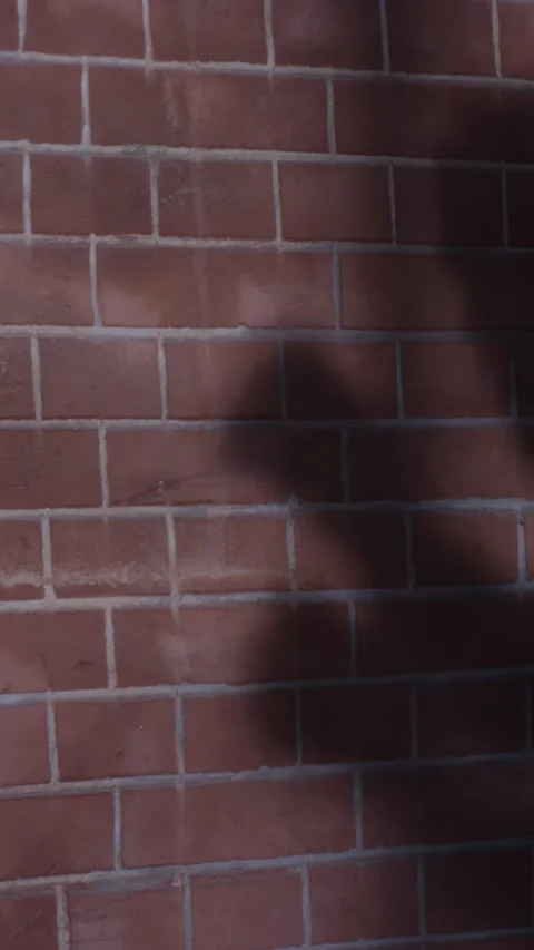 Boxer practicing shadows. Boxing shadow Video stock 281505658