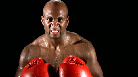 Boxer punching gloves together Stock-Footage 61666298