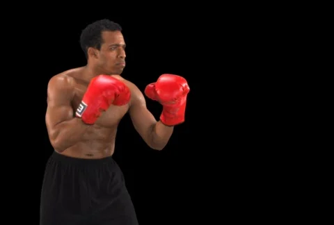Boxer punching profile Stock Footage 754445