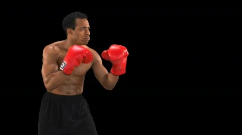 Boxer punching profile Stock Footage 754454