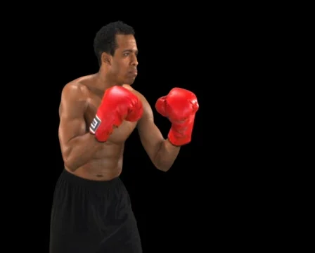 Boxer punching profile Stock Footage 754457