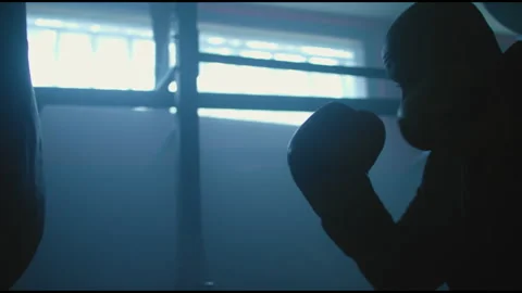 Boxer punching a punching bag Stock Footage 275087960