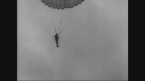 Boxer pups experiencing highest parachute flight with the soldiers 스톡 동영상 83656256