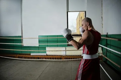 Boxer in the ring Stock Photos