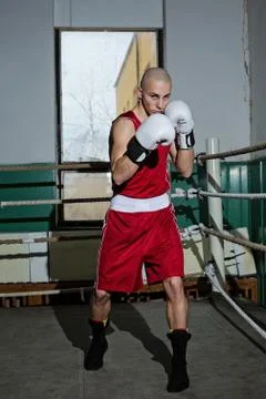 Boxer in the ring Stock Photos