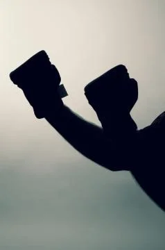 Boxer Silhouette Stock Photos