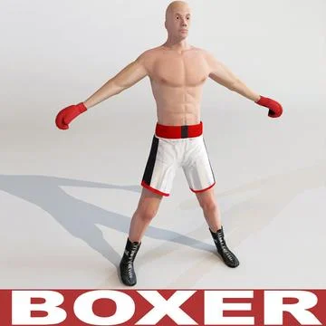 Boxer static 3D Model