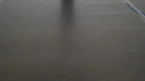 Boxer tilt shot.mp4 Stock-Footage 52968457