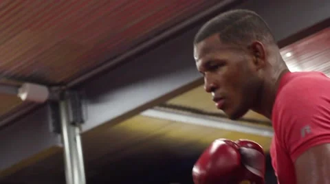 Boxer Training Head Moving in Slow Motion Stock Footage 56294102