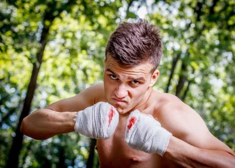 Boxer is training Foto stock