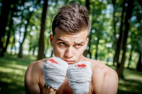 Boxer is training Stock-Fotos