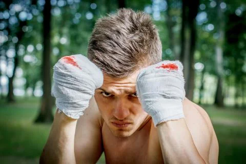 Boxer is training 스톡 사진