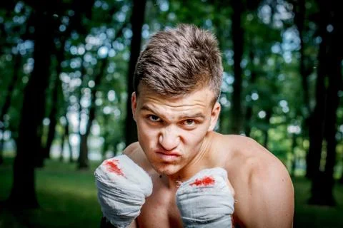 Boxer is training 스톡 사진