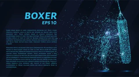 Boxer which consists of points. Particles in the form of a boxer on a dark ba Stock Illustration