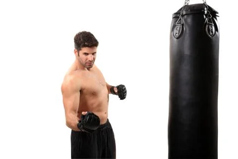 Boxer workout Stock Photos