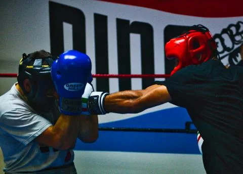 Boxers fighting during a sparring session Stock Photos