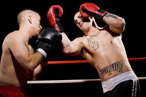 Boxers fighting Stock Photos