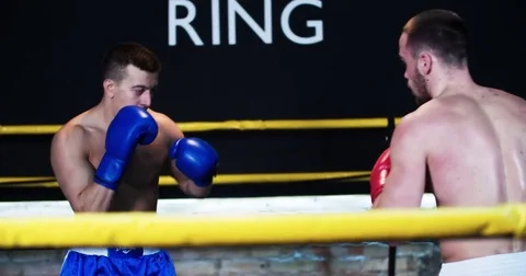 Boxers training boxing ring 4k video. Sparring: clinch corner punches defense Stock Footage 70399042