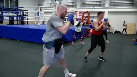 Boxers in training. Stock Footage 166730717