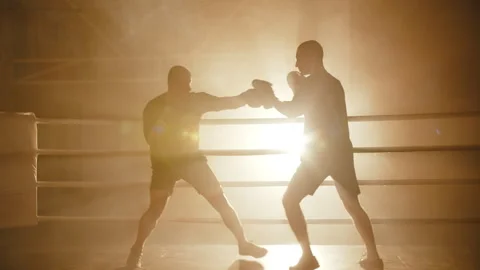 Boxers training in ring with dramatic backlight Stock Footage 308485199