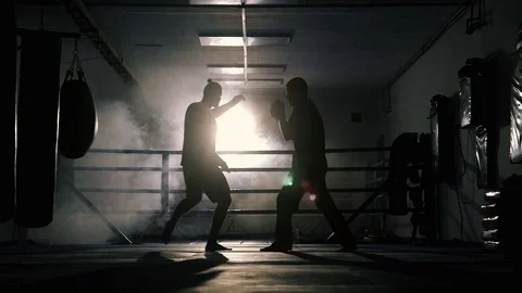 Boxers training in the ring silhouette Stock Footage 72459281