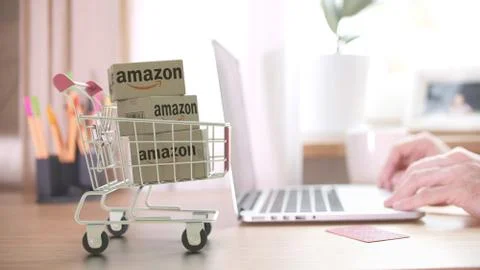 Boxes with AMAZON logo in shopping trolley near customer with laptop. Editorial Stock Illustration