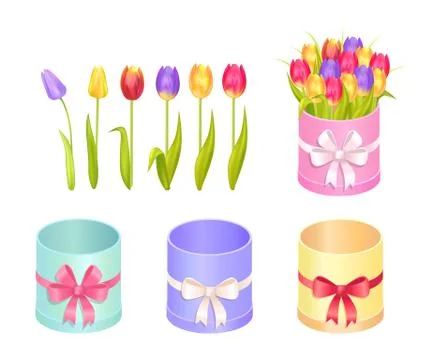 Boxes and Tulips Collection Vector Illustration Stock Illustration