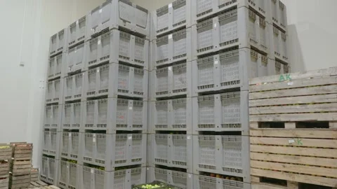 Boxes of apples in a storage, mass food storage Stock Footage 277626328