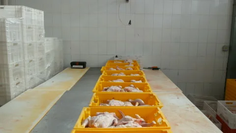 Boxes with chicken meat on big table at food processing plant Stock Footage 87324319