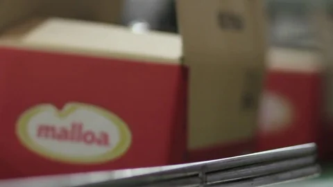 Boxes on conveyor belt Stock Footage 77050927