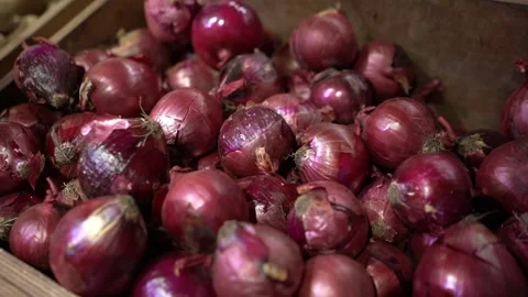 Boxes filled with fresh onion bulbs displayed on a store counter Stock Footage 323145162