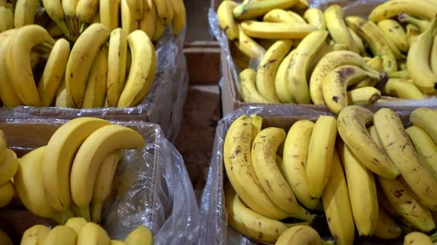 Boxes filled with fresh, ripe bananas stacked neatly in a supermarket 库存影片 323147351