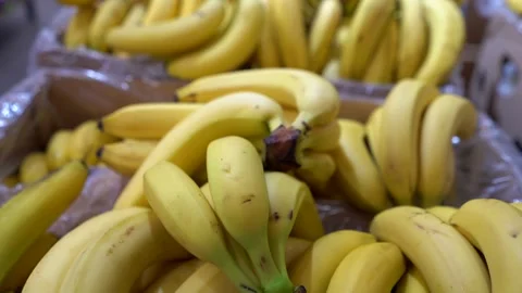 Boxes filled with fresh, ripe bananas stacked neatly in a supermarket Stock Footage 323147361