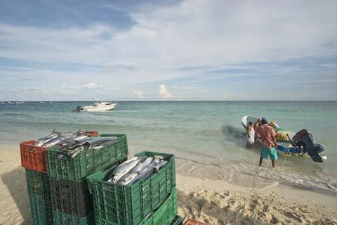 Boxes with fish on the beach Foto stock