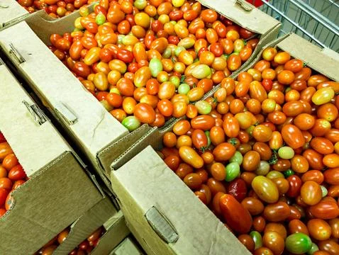 Boxes of fresh cherry tomatoes in a shopping cart Stock Photos
