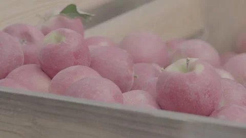 Boxes full of apples in the  garden 8 Stock Footage 317701613