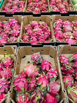 Boxes full of pitaya or dragon fruit in a market Stock Photos