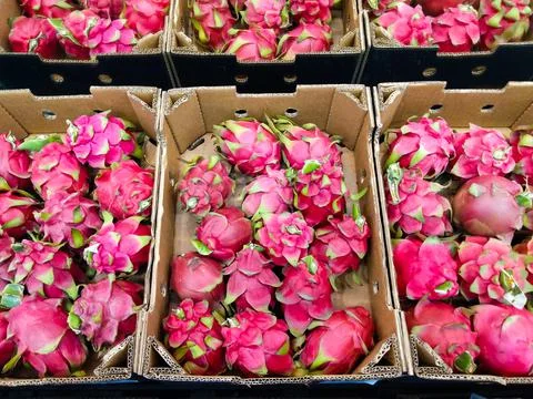 Boxes full of pitaya or dragon fruit in a market Stock Photos