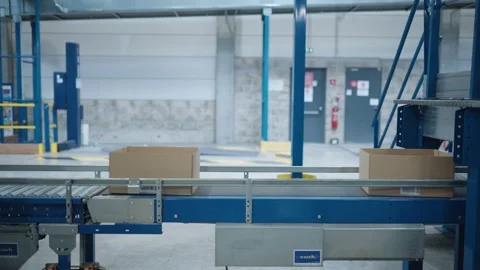 Boxes move on a conveyor belt 스톡 동영상 318223726