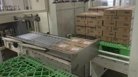 Boxes of Packaged Green Tea on a Roller Conveyor Stock Footage 340010033