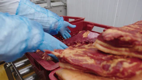 Boxes of raw materials for making thinly sliced bacon. Worker stacks pieces of Stock Footage 205489071